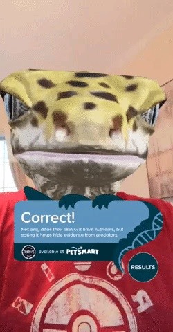 Morph into a Gecko & Learn About Reptiles with PetSmart's Snapchat AR Lens