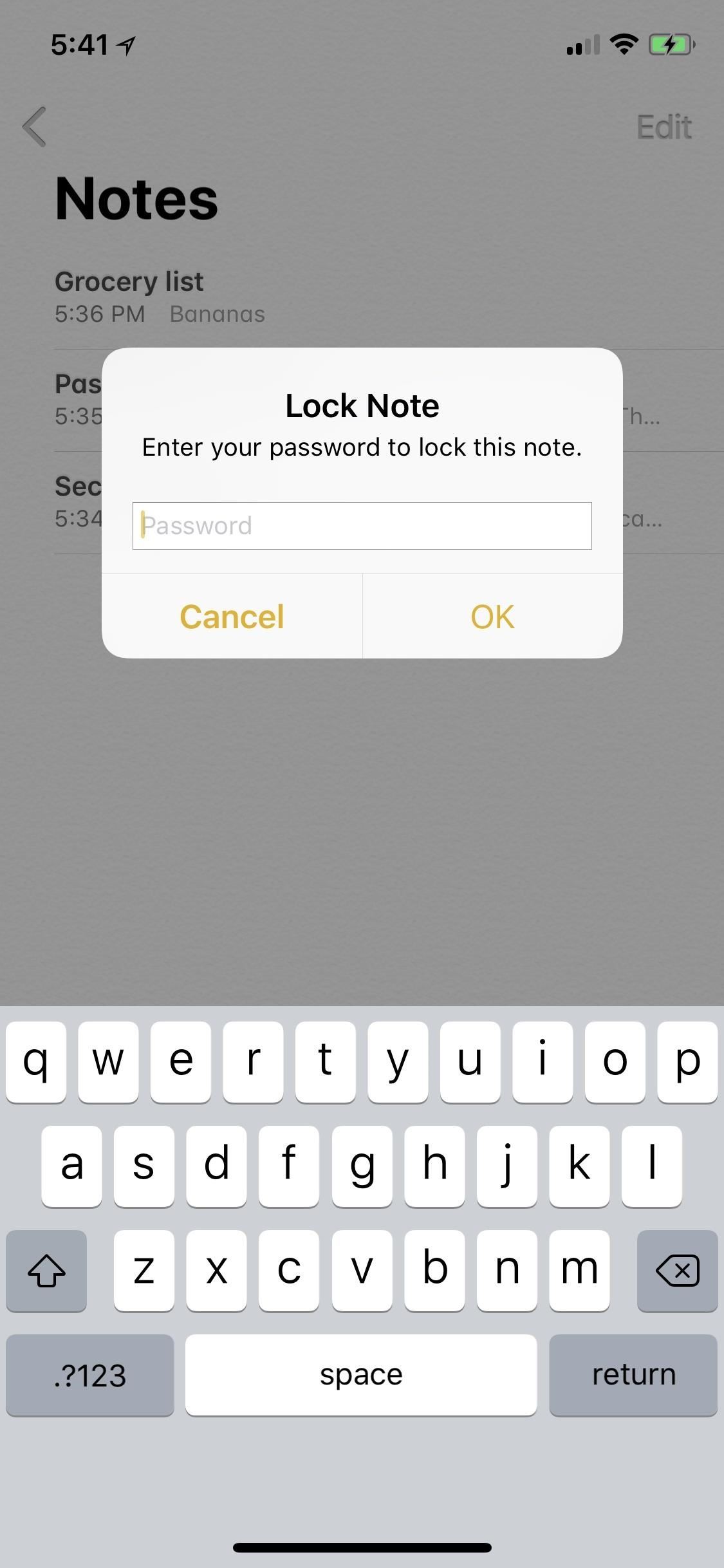 Notes 101: How to Lock Notes with Face ID or Touch ID (& Password Protection)