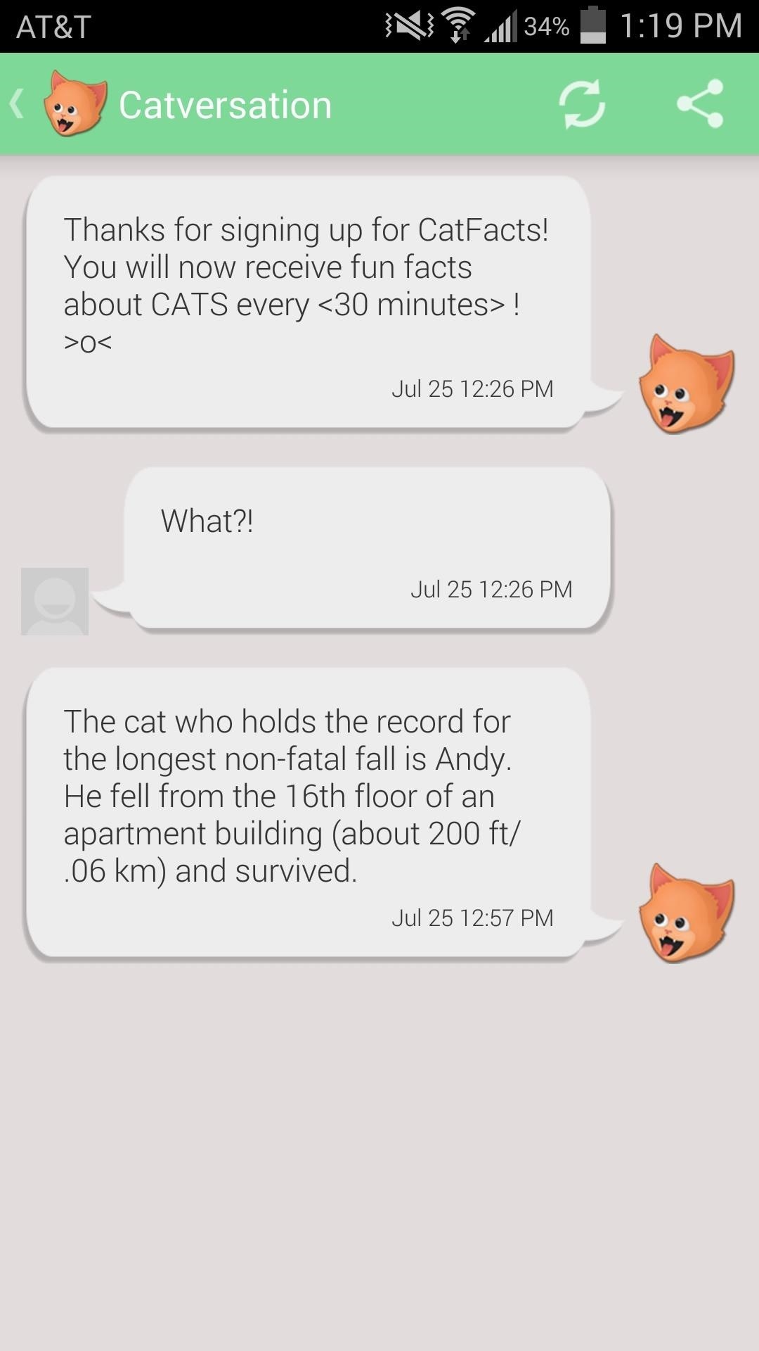 How to Prank Your Friends with Random Cat Facts Text Messages