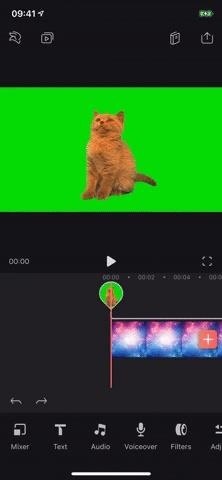 Replace Video Backgrounds with the Green Screen Chroma Key Tool in Enlight Videoleap for iPhone