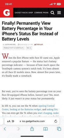 Safari Snuck in a New Feature on Your iPhone That Makes an Old Tool Even More Useful on Webpages