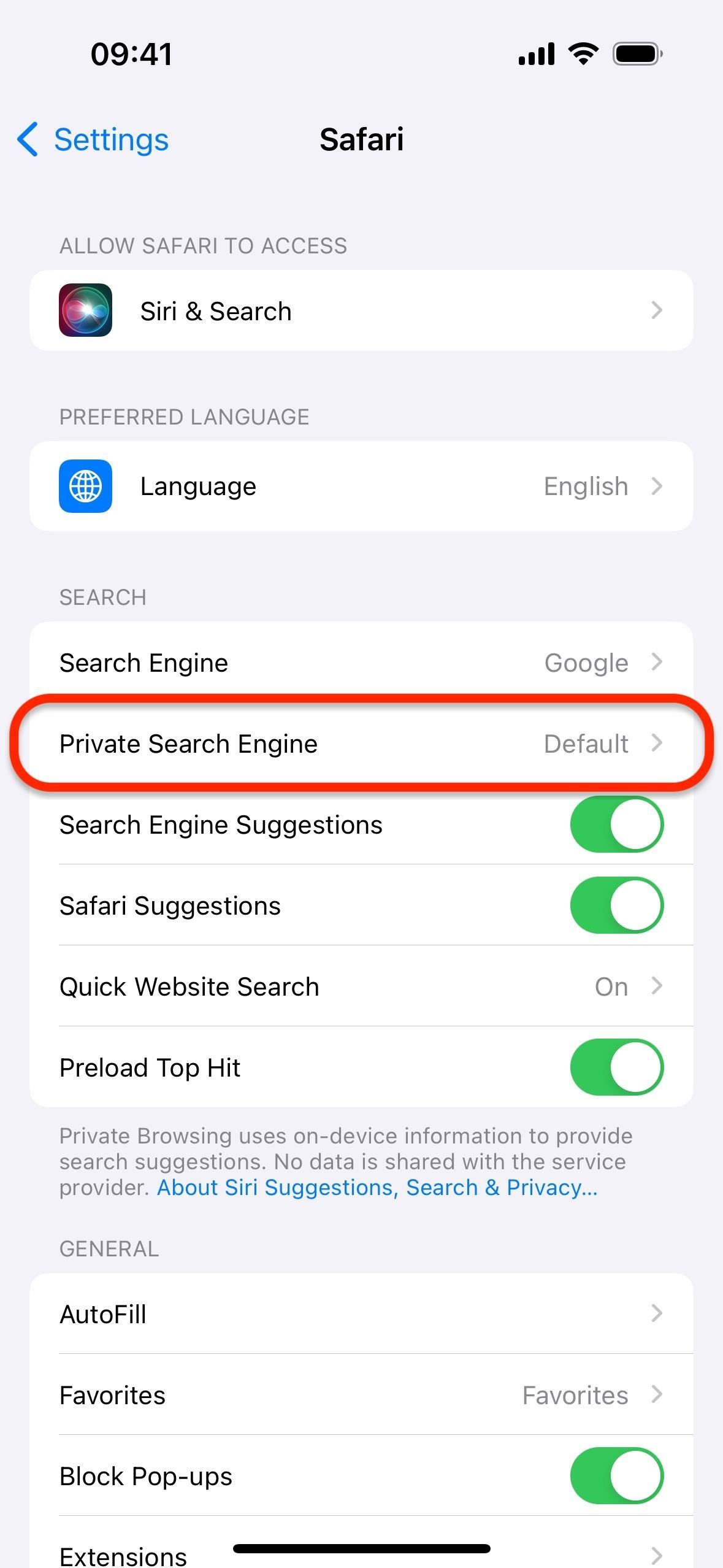 Safari's Private Browsing Mode Just Made Your Private Tabs Way More Private on iOS 17