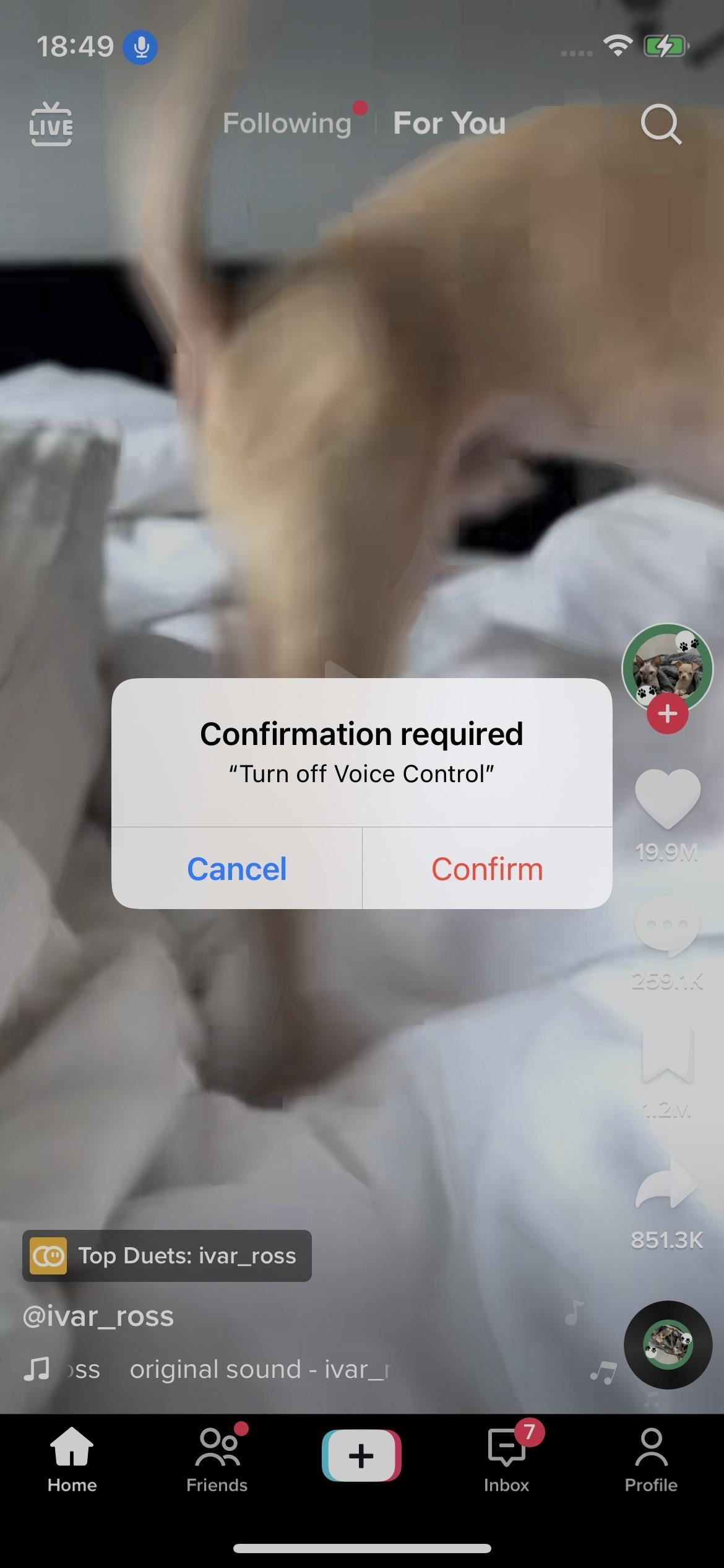 Scroll Through TikTok Hands-Free on Your iPhone or iPad Using Simple Voice Commands