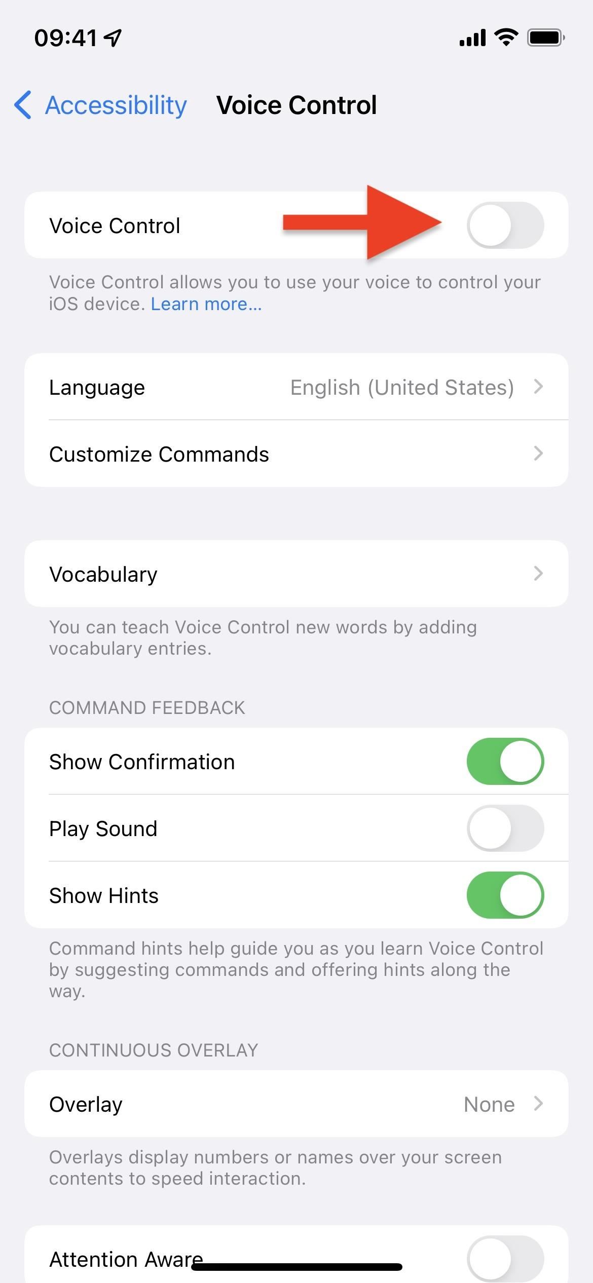 Scroll Through TikTok Hands-Free on Your iPhone or iPad Using Simple Voice Commands