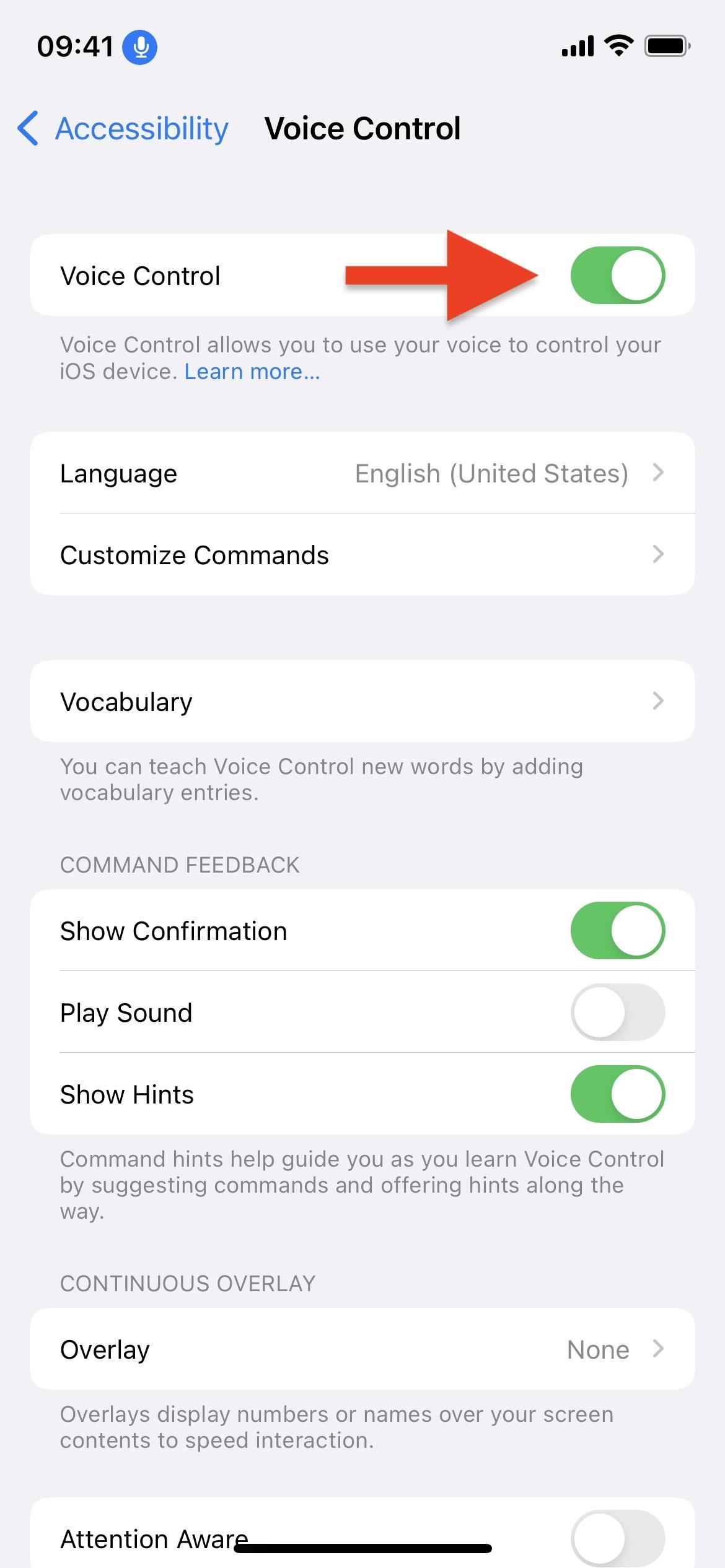 Scroll Through TikTok Hands-Free on Your iPhone or iPad Using Simple Voice Commands