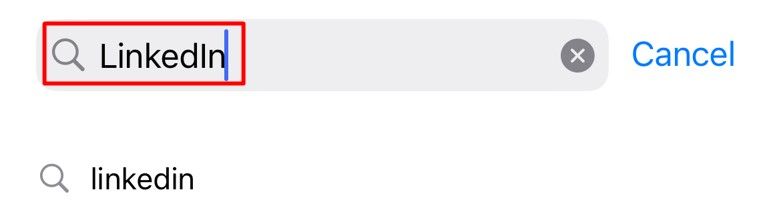 Searching for LinkedIn on the iPhone App Store.
