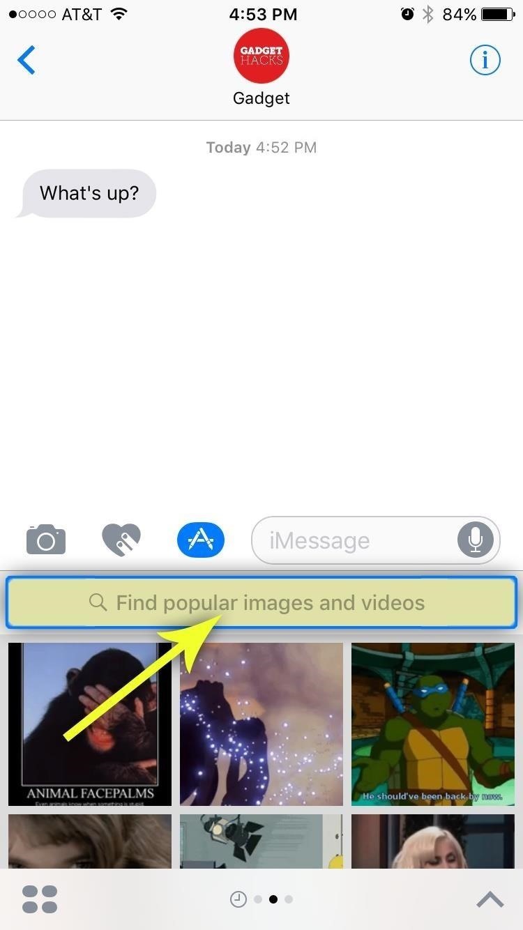How to Send GIFs with the Messages App on iOS 10