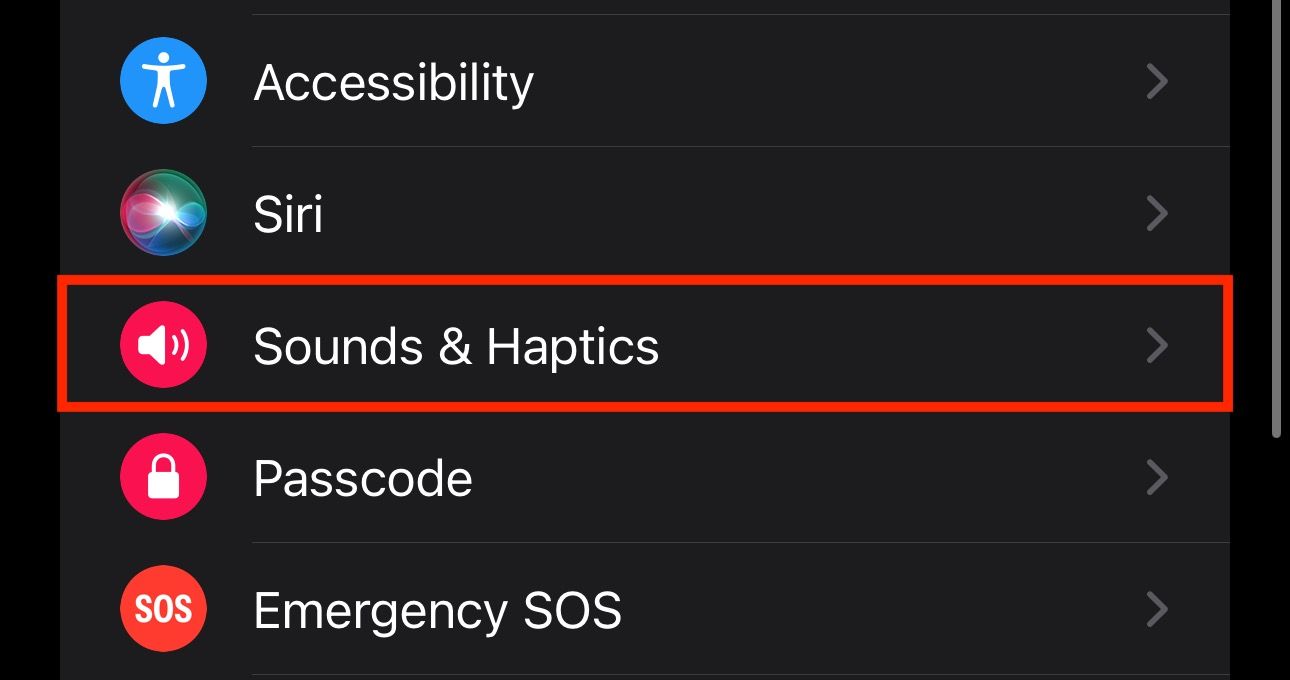 Sounds & Haptics settings on the Watch app on an iPhone.