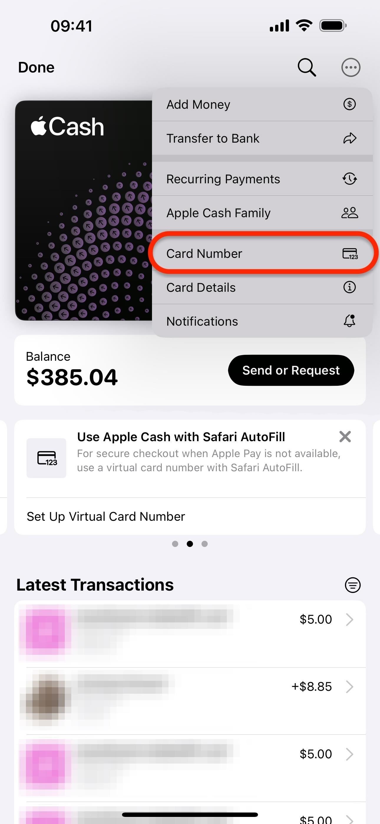 Set Up a Virtual Card Number for Apple Cash on Your iPhone to Use Where Apple Pay Isn't Accepted