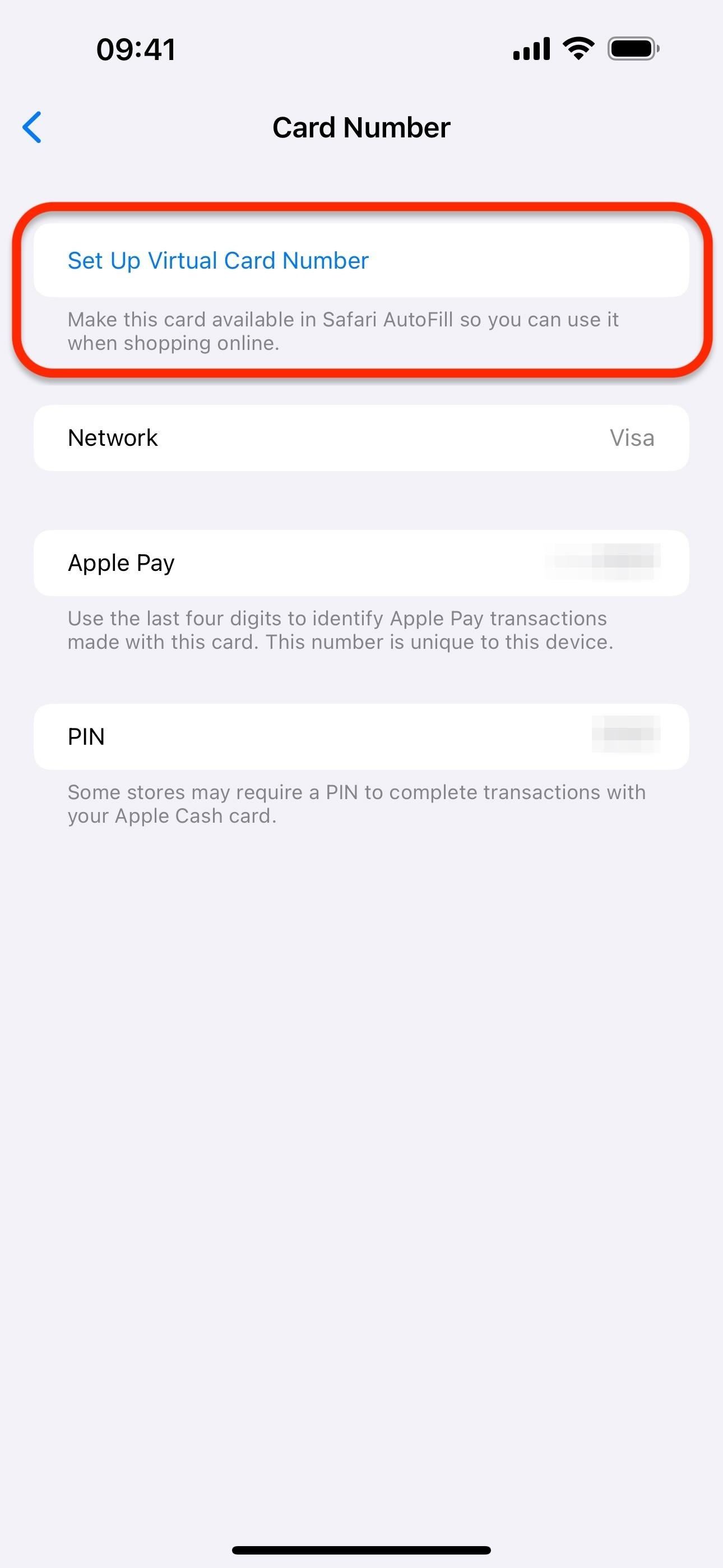 Set Up a Virtual Card Number for Apple Cash on Your iPhone to Use Where Apple Pay Isn't Accepted