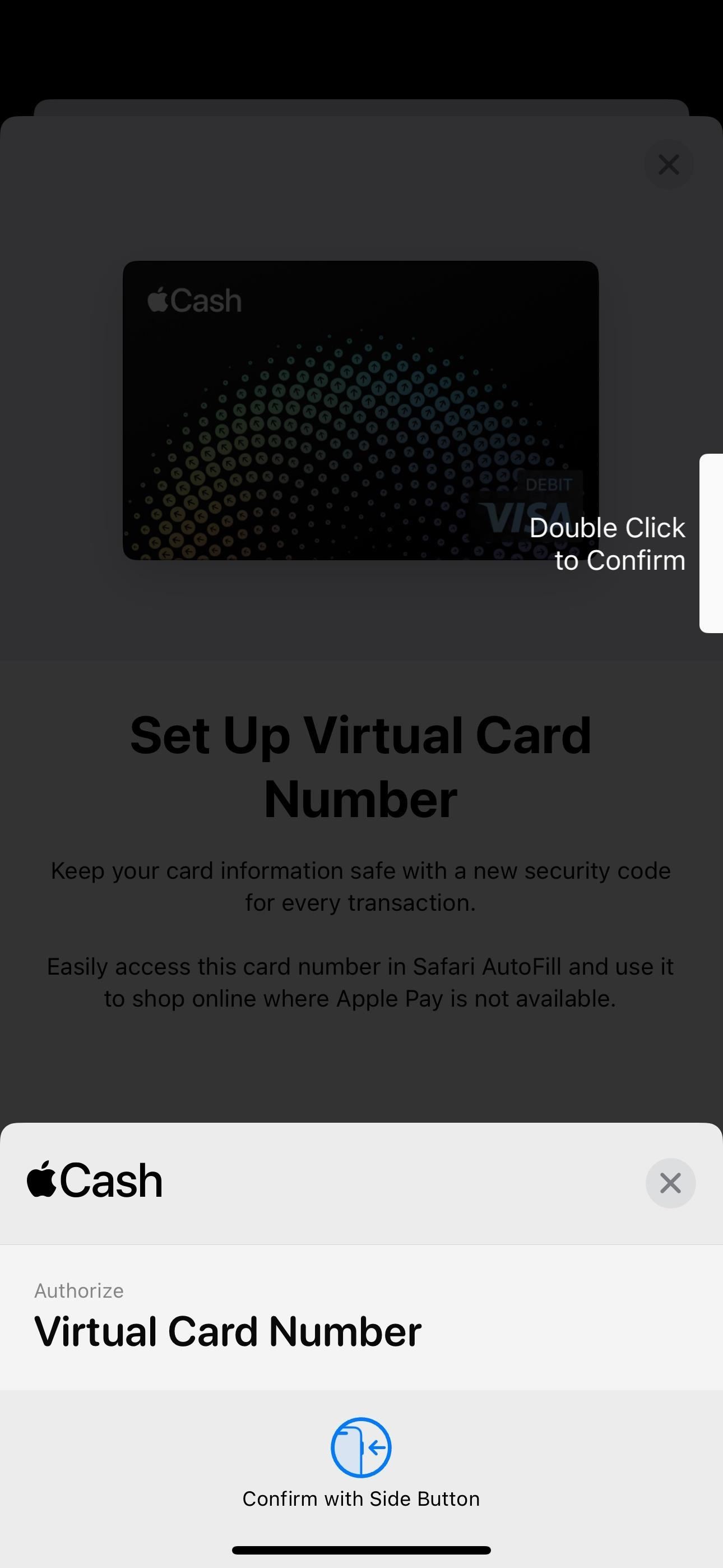 Set Up a Virtual Card Number for Apple Cash on Your iPhone to Use Where Apple Pay Isn't Accepted