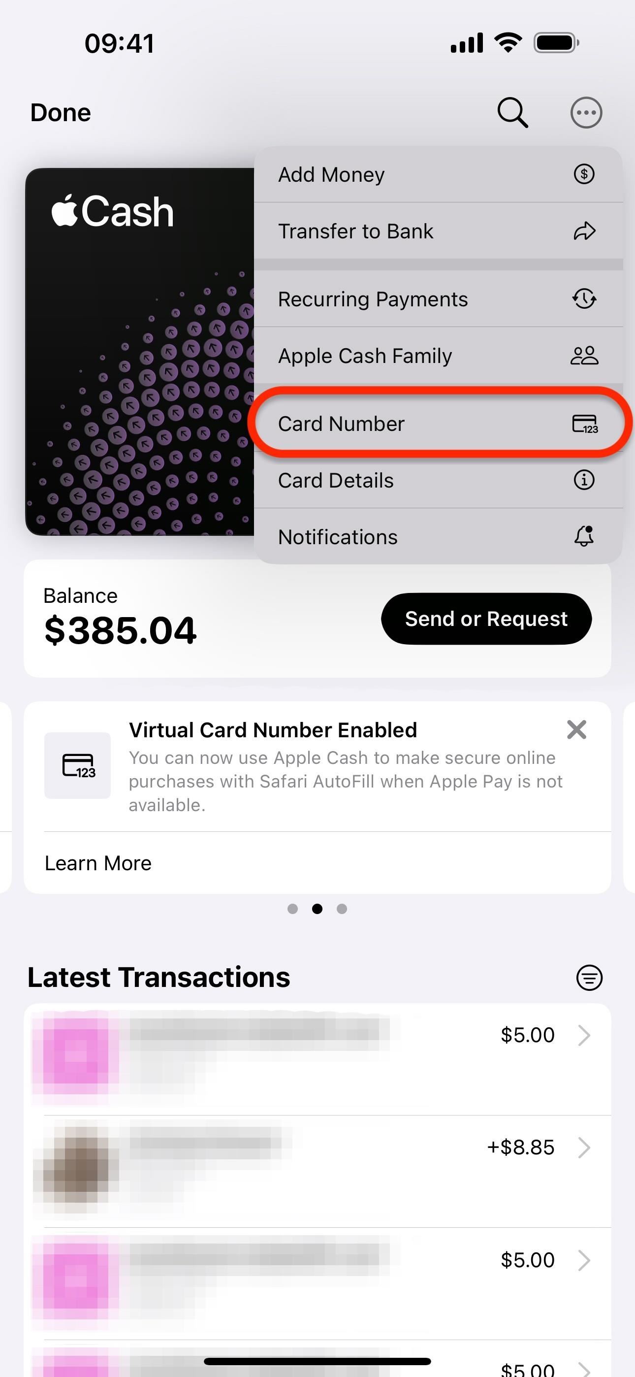 Set Up a Virtual Card Number for Apple Cash on Your iPhone to Use Where Apple Pay Isn't Accepted