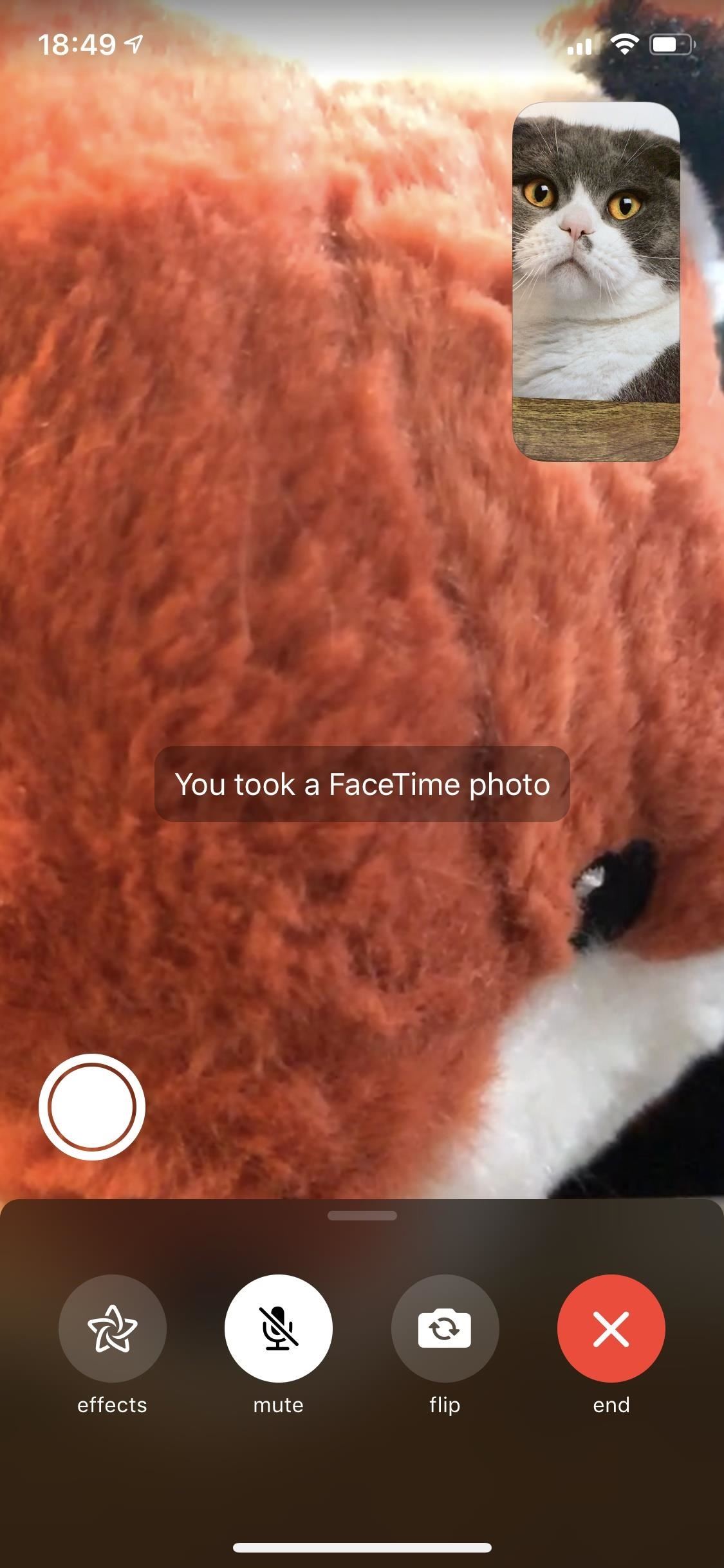 How to Take or Disable Live Photos During a FaceTime Video Call