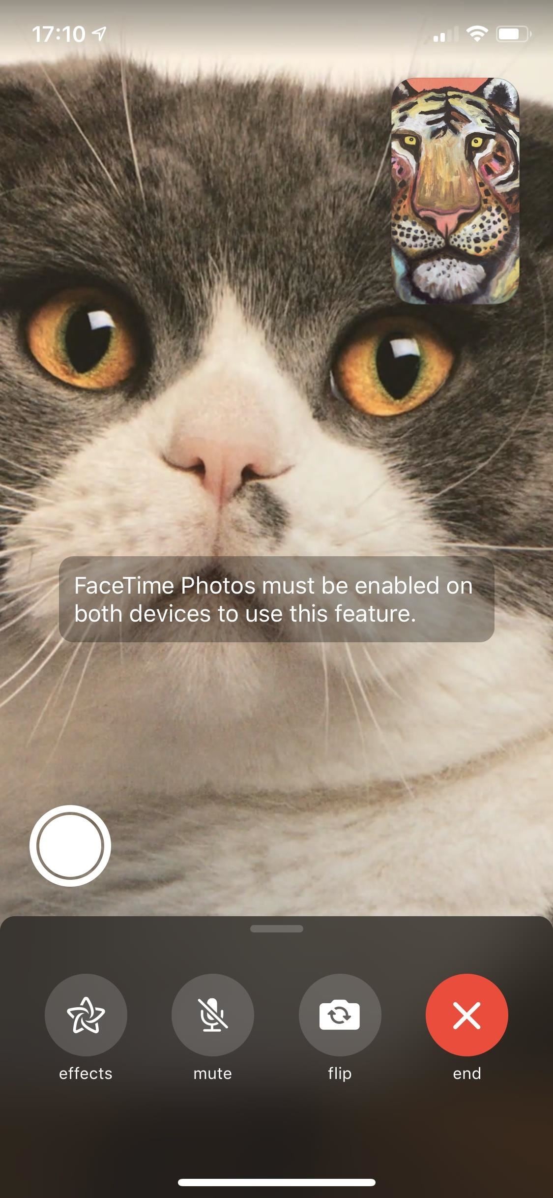 Take Live Photos of FaceTime Video Calls (& Protect Yourself from Getting Recorded)