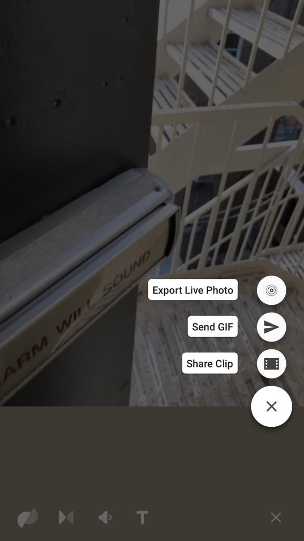 Thanks to Google, iPhone Users Can Finally Pick a New Frame for Their Live Photos