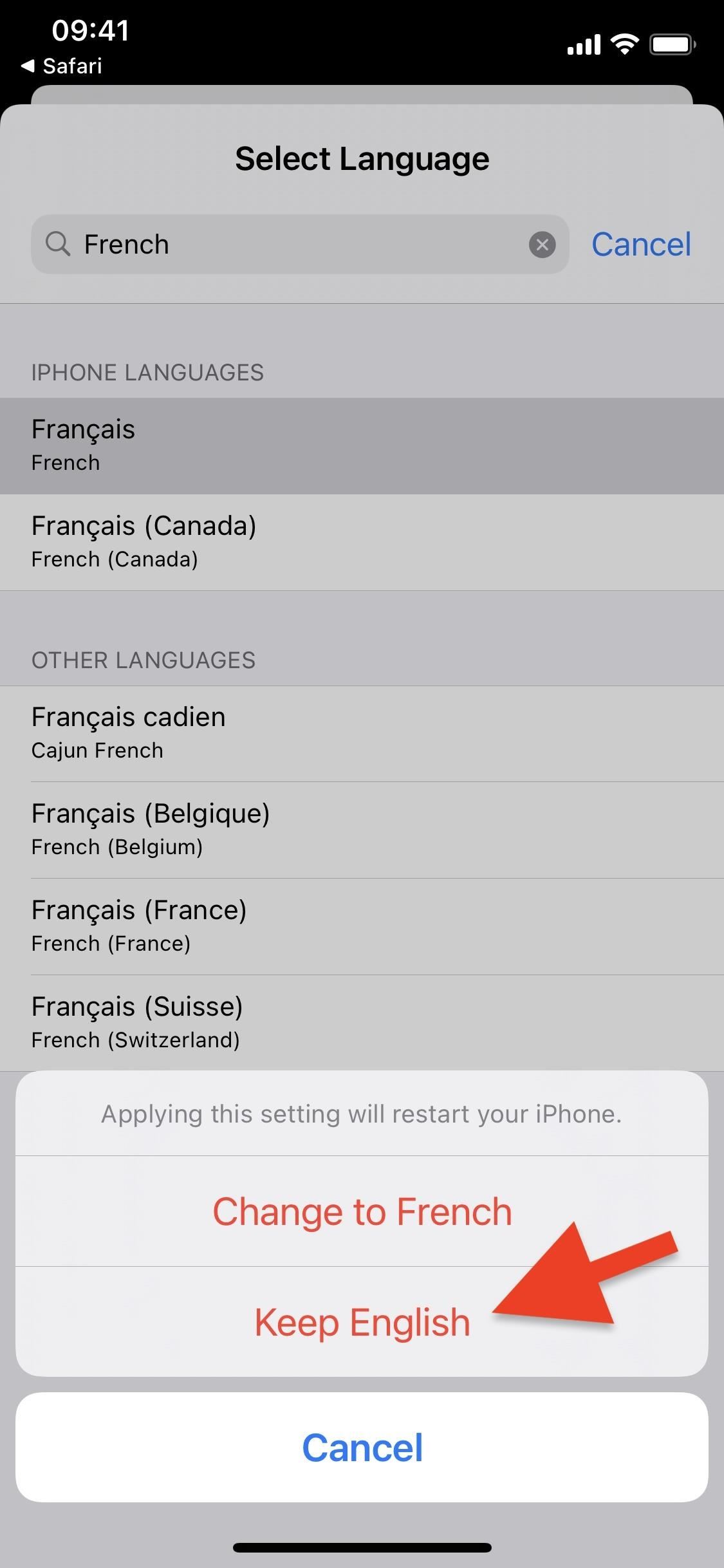 Translate Webpages in Safari to Another Language Using Apple's New Translation Tool