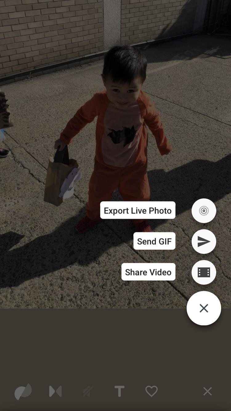 How to Turn Your Live Photo into a Facebook Profile Video