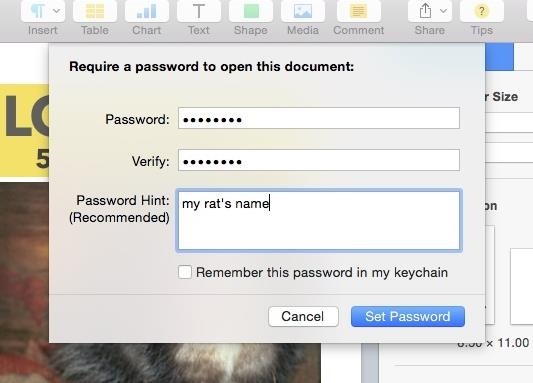 The Ultimate Guide to Password-Protecting Files & Folders in Mac OS X Yosemite