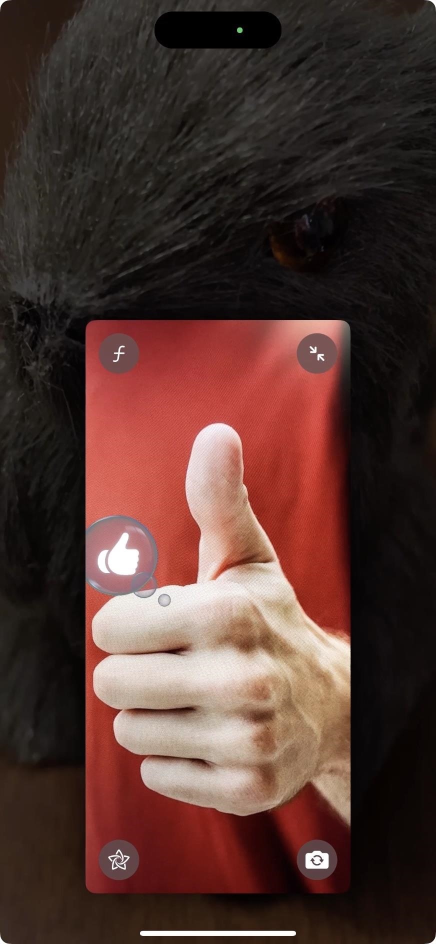 Use FaceTime's Secret Hand Gestures and Reaction Buttons to Add Animated On-Screen Effects to Your Video Feed