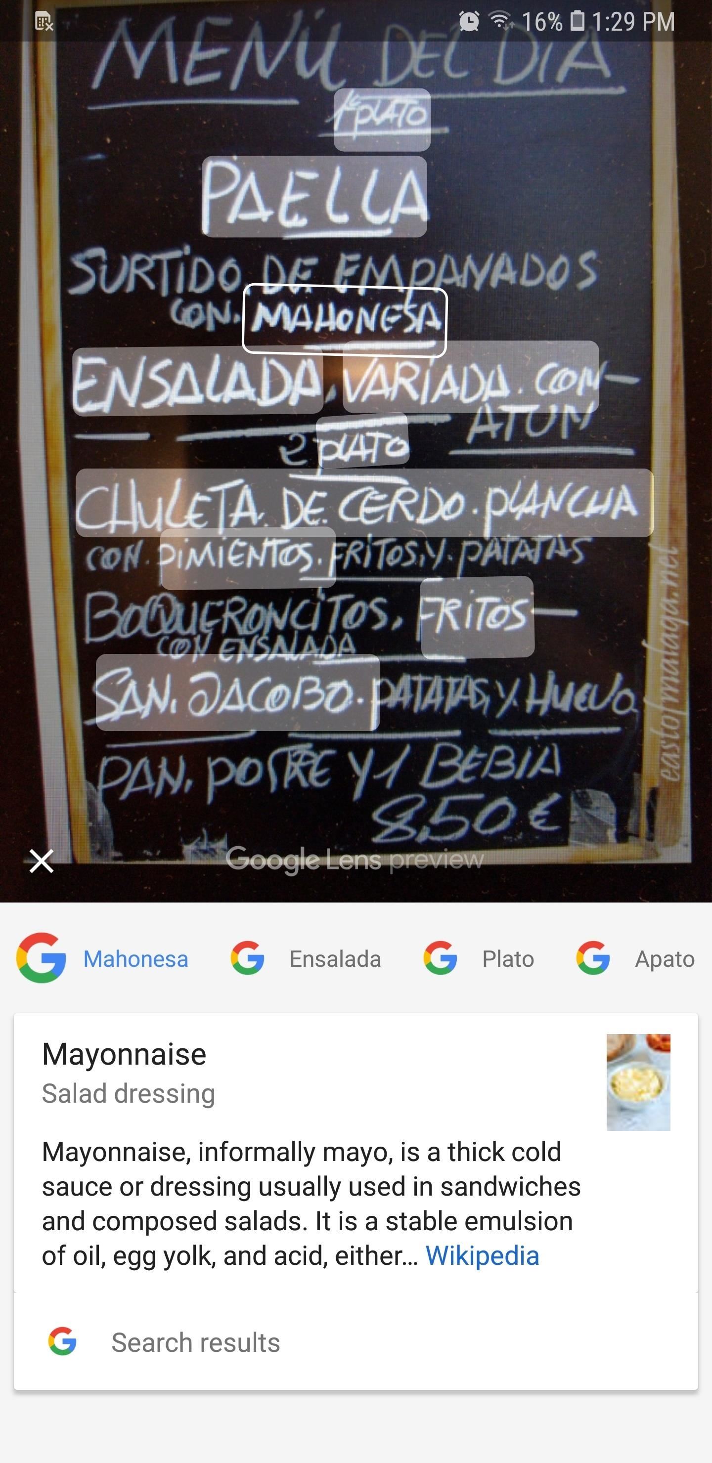 How to Use Google Lens to Translate Text from Books, Websites & More in Google Photos