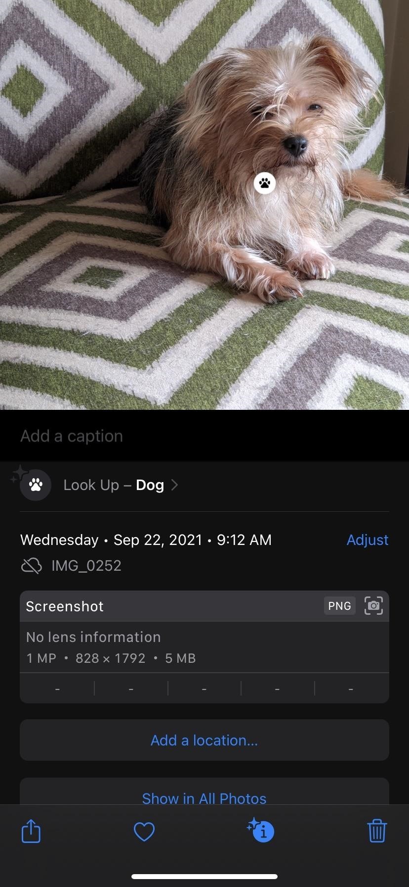 Use iOS 15's Live Text Feature to Scan Text in Photos and Online Images to Copy, Share, Translate, Look Up, and More