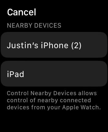 Use Your iPhone or Apple Watch as a Remote Control for Your iPad Using This Hidden Built-in Feature