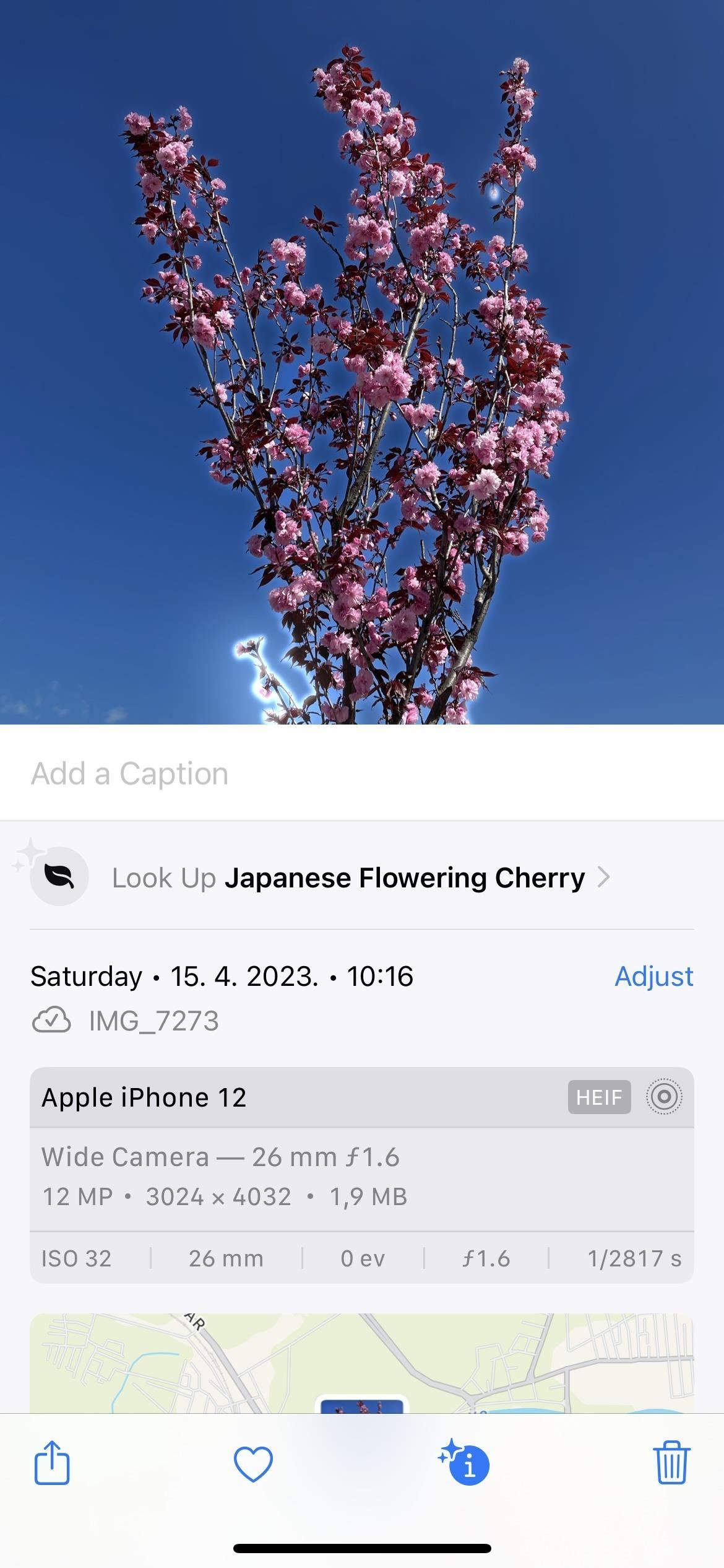 Use Your iPhone's Built-in Image Analyzer to Reveal the Hidden Meaning Behind Symbols, Signs, and More