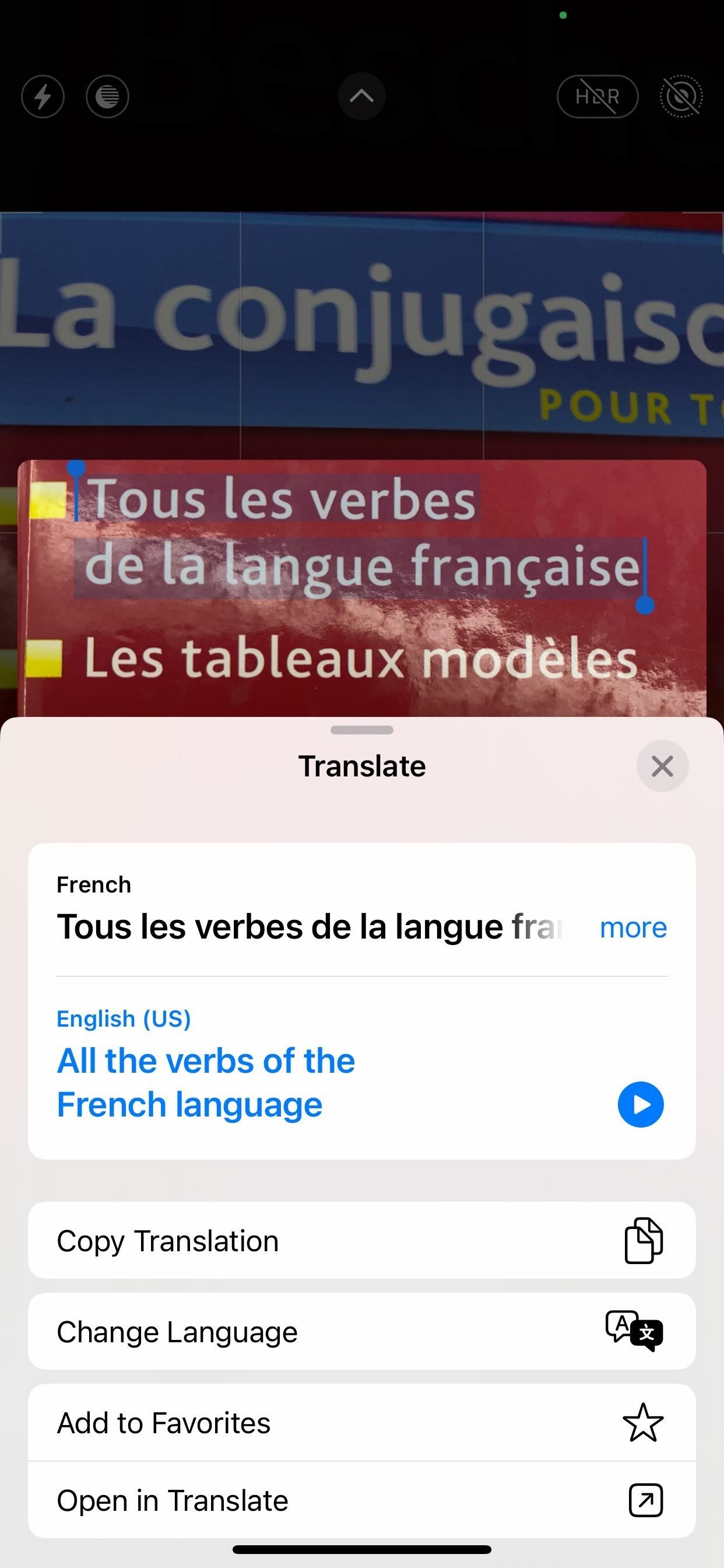 Use Your iPhone's Camera App for Real-Time Translations and Unit Conversions