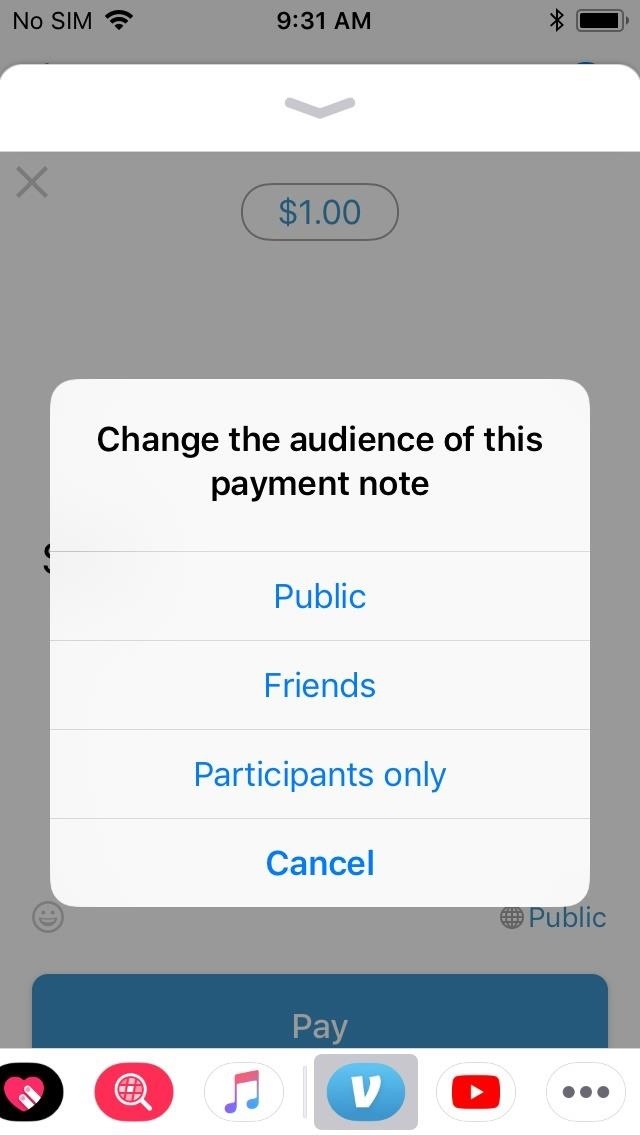 Venmo 101: How to Send Money Using the Messages App on Your iPhone