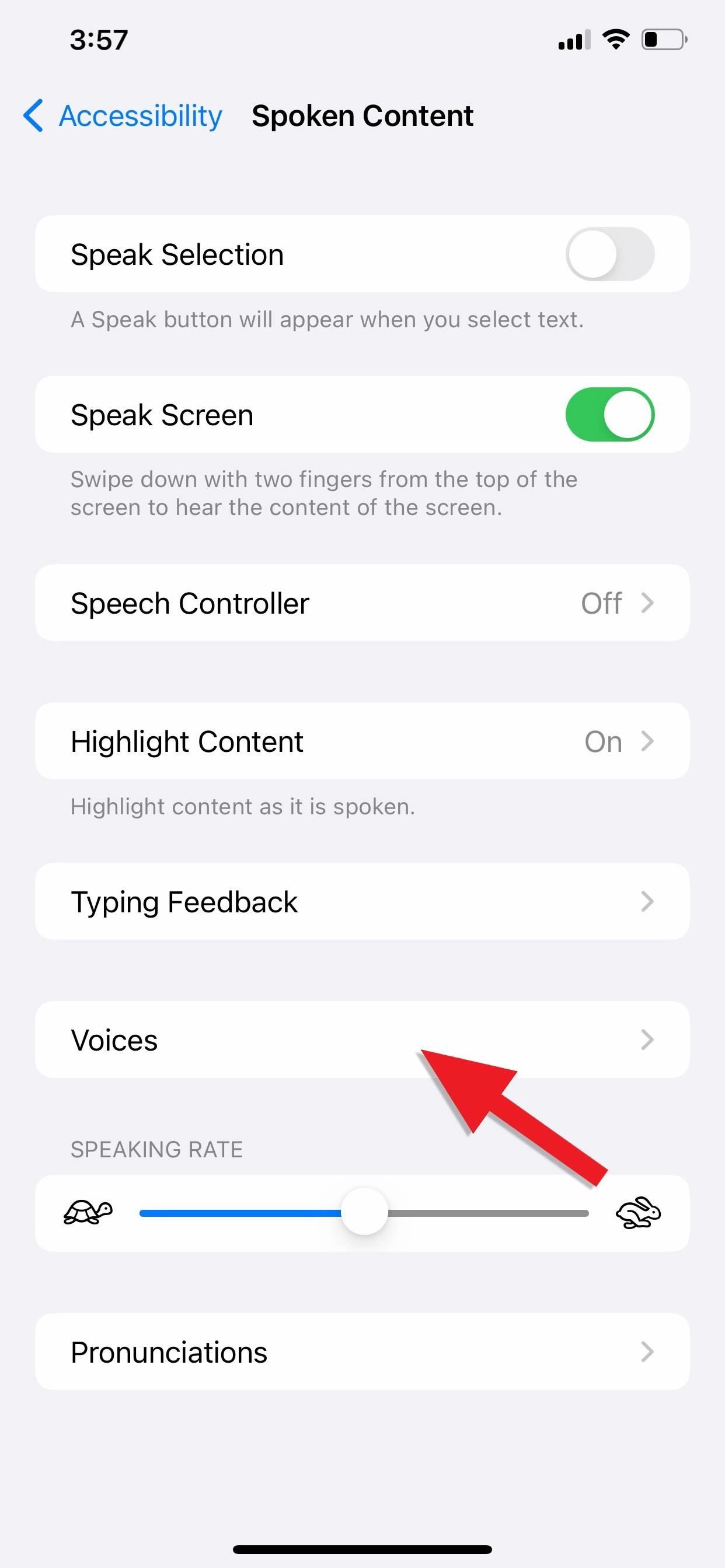 Your iPhone Has a Hidden Text-to-Speech Tool That'll Read Articles, Books, News, and Other Text Out Loud to You