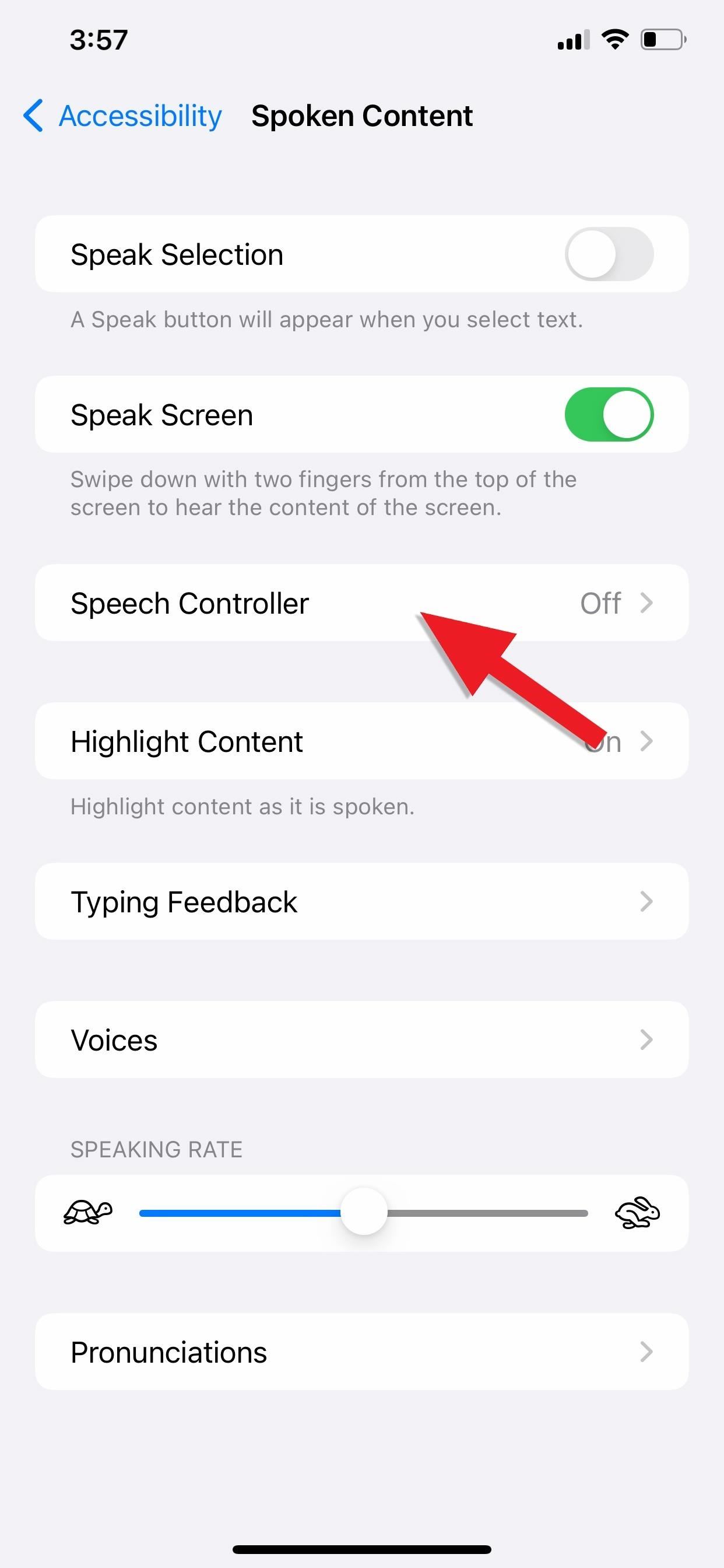 Your iPhone Has a Hidden Text-to-Speech Tool That'll Read Articles, Books, News, and Other Text Out Loud to You