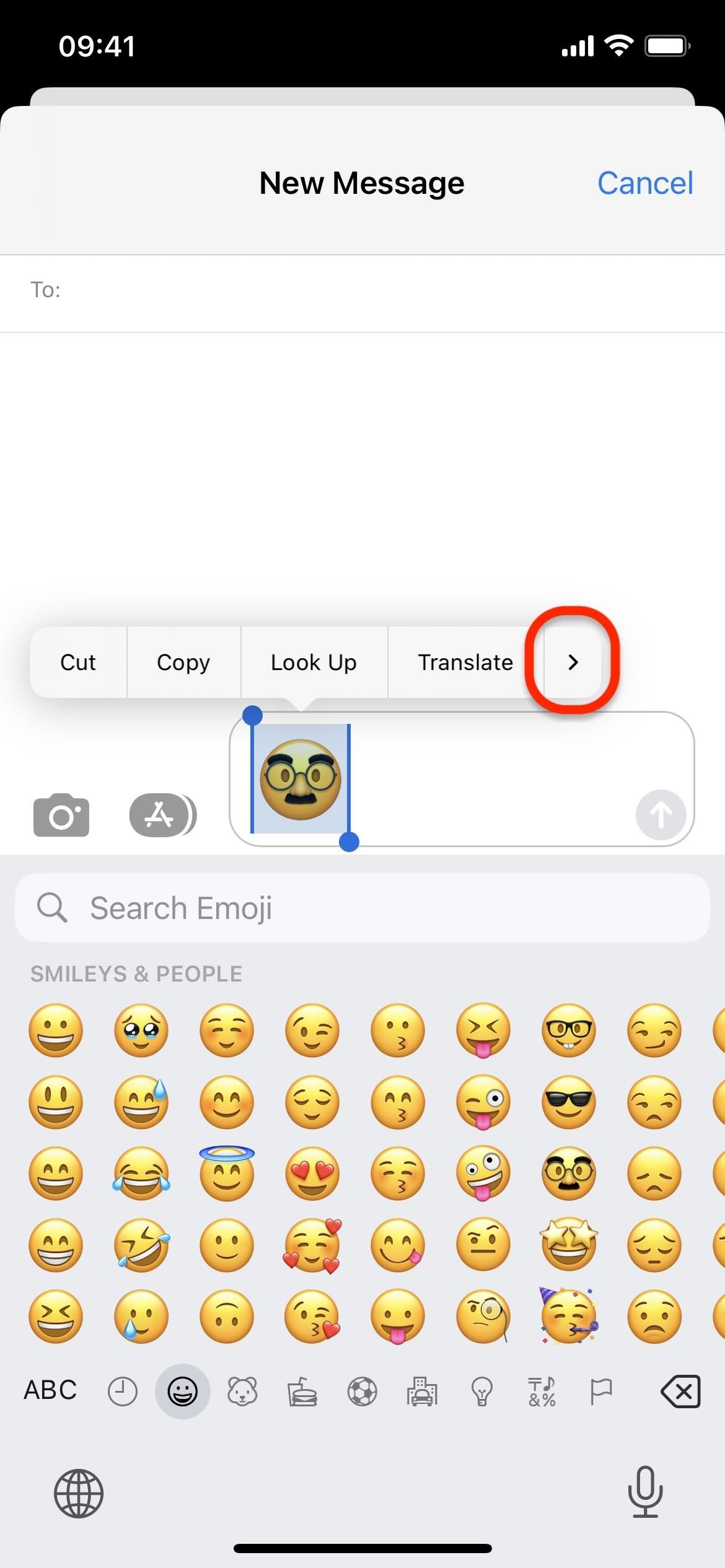 Your iPhone Has Hidden Tools to Help You Understand Emoji Better