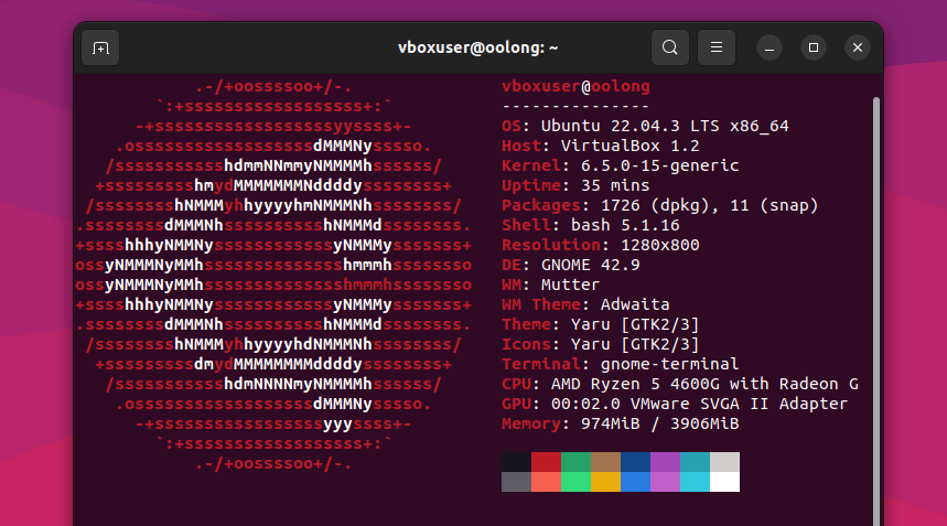 neofetch command output on an Ubuntu operating system.