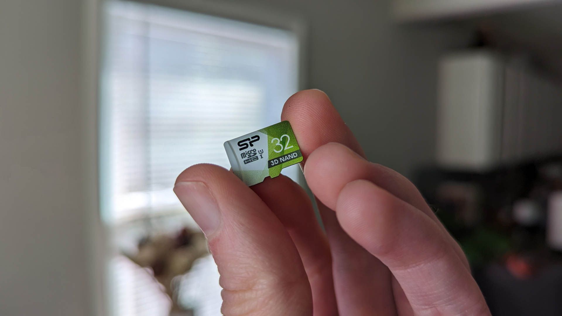 Person holding a micro SD card