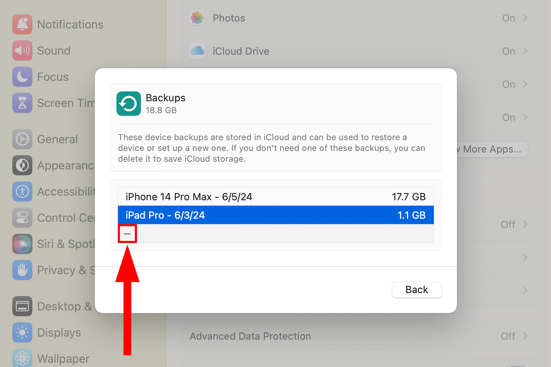 iPad Pro selected on the iCloud Backups screen in the Mac's System Settings app, with the Delete option highlighted.