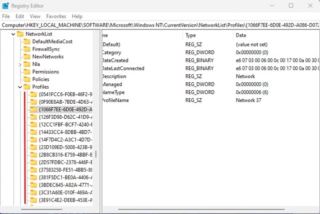 various Network Profiles folders