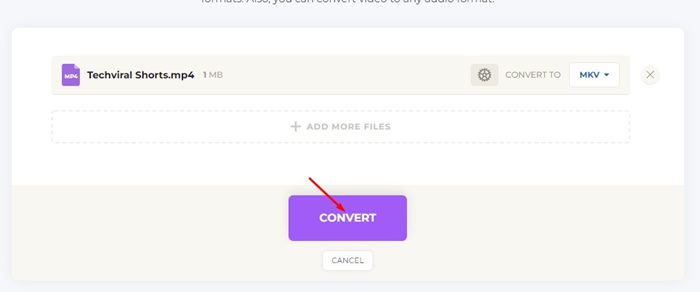 click on the Convert button