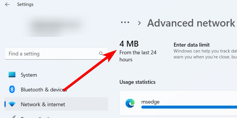 Viewing overall data usage in advanced network settings.