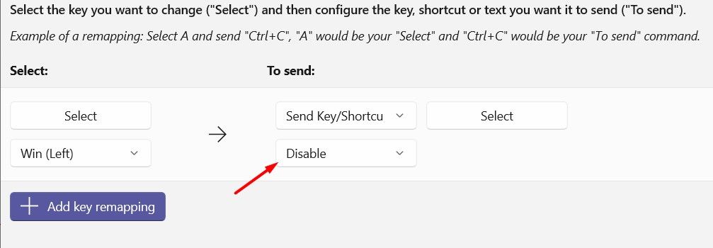 Disable option for Windows key.