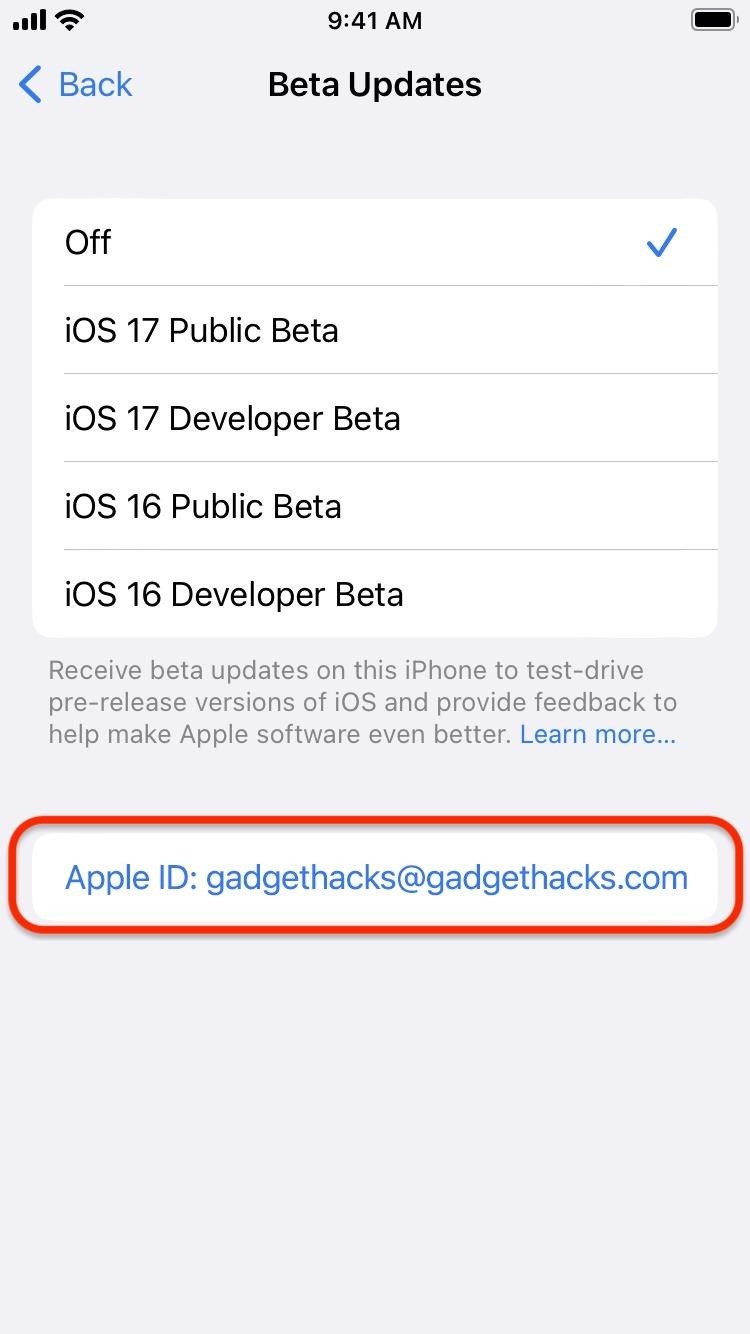 How to Download and Install iOS 17.6 Beta on Your iPhone — And Try New Features Before Everyone Else