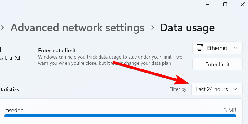 The "Filter By" dropdown in advanced network settings.