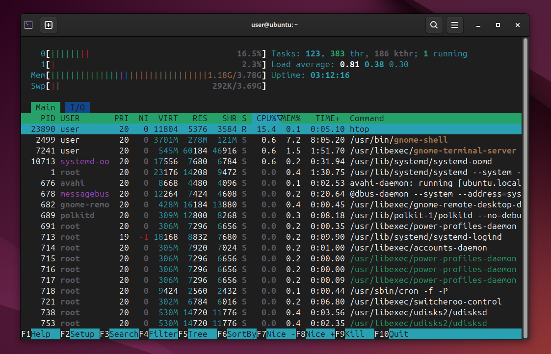 Full htop output interactive process view in Linux Bash terminal