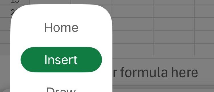 The Insert menu in the iPhone Excel app.