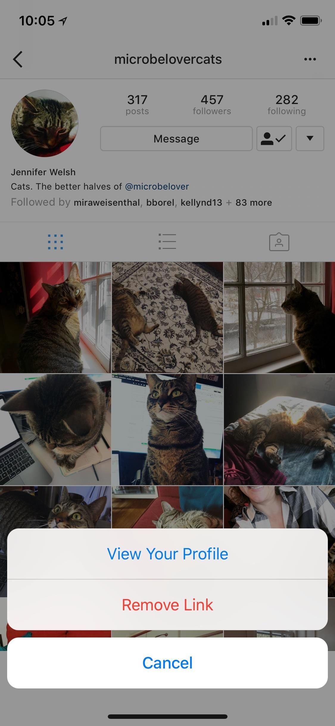 Instagram 101: How to Add #Hashtags & @Account Tags to Your Bio