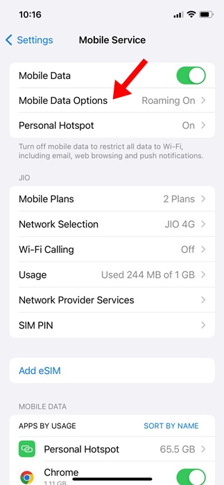 Mobile Data Options