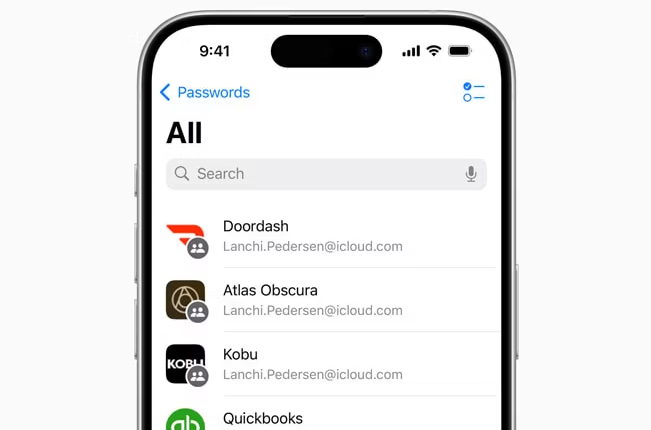 iPhone Passwords