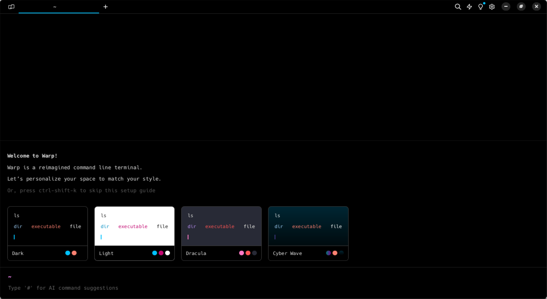 Warp Terminal window opened