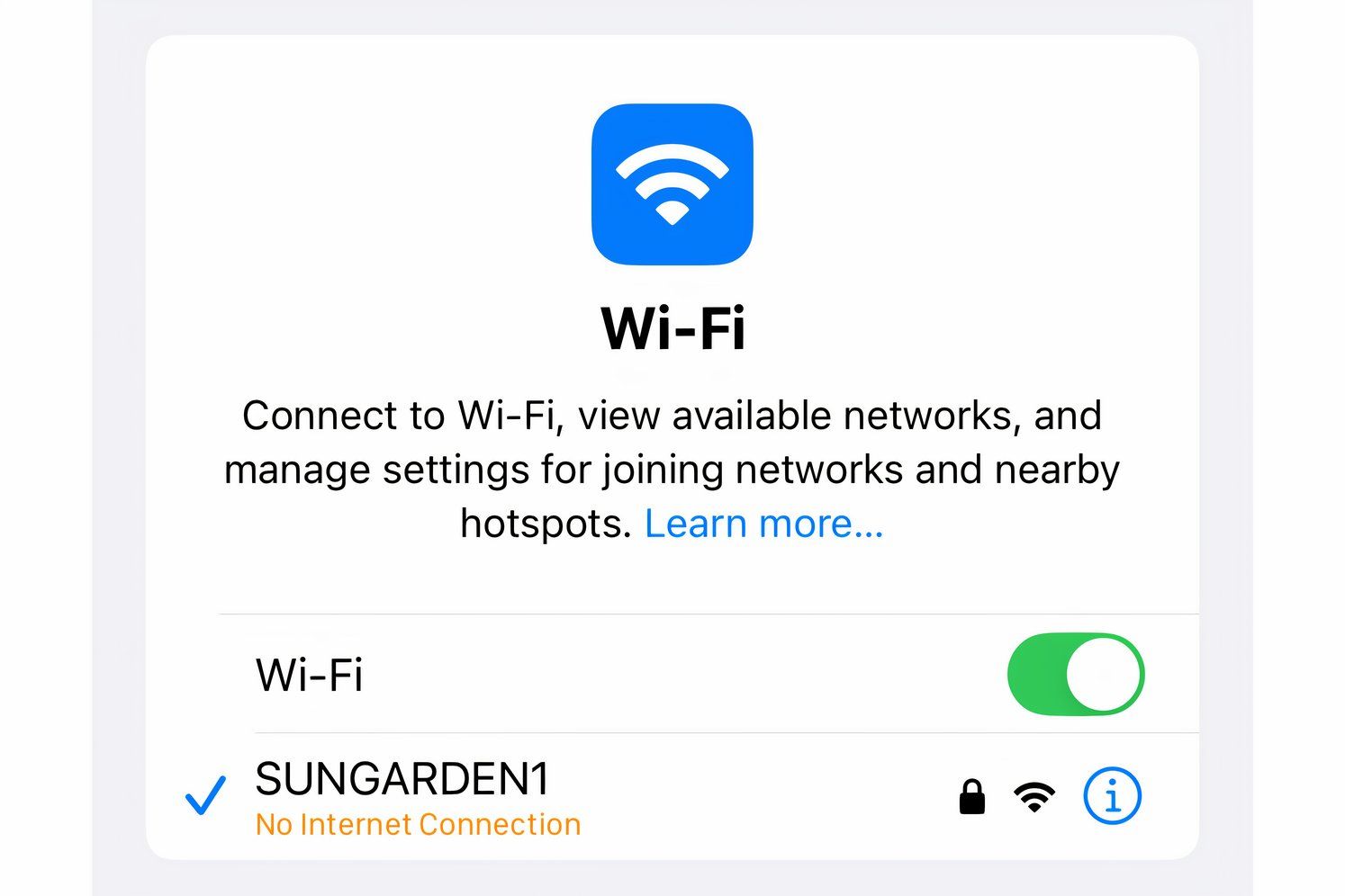 The iPhone's Settings app displaying a No Internet Connection message below the Wi-Fi network name