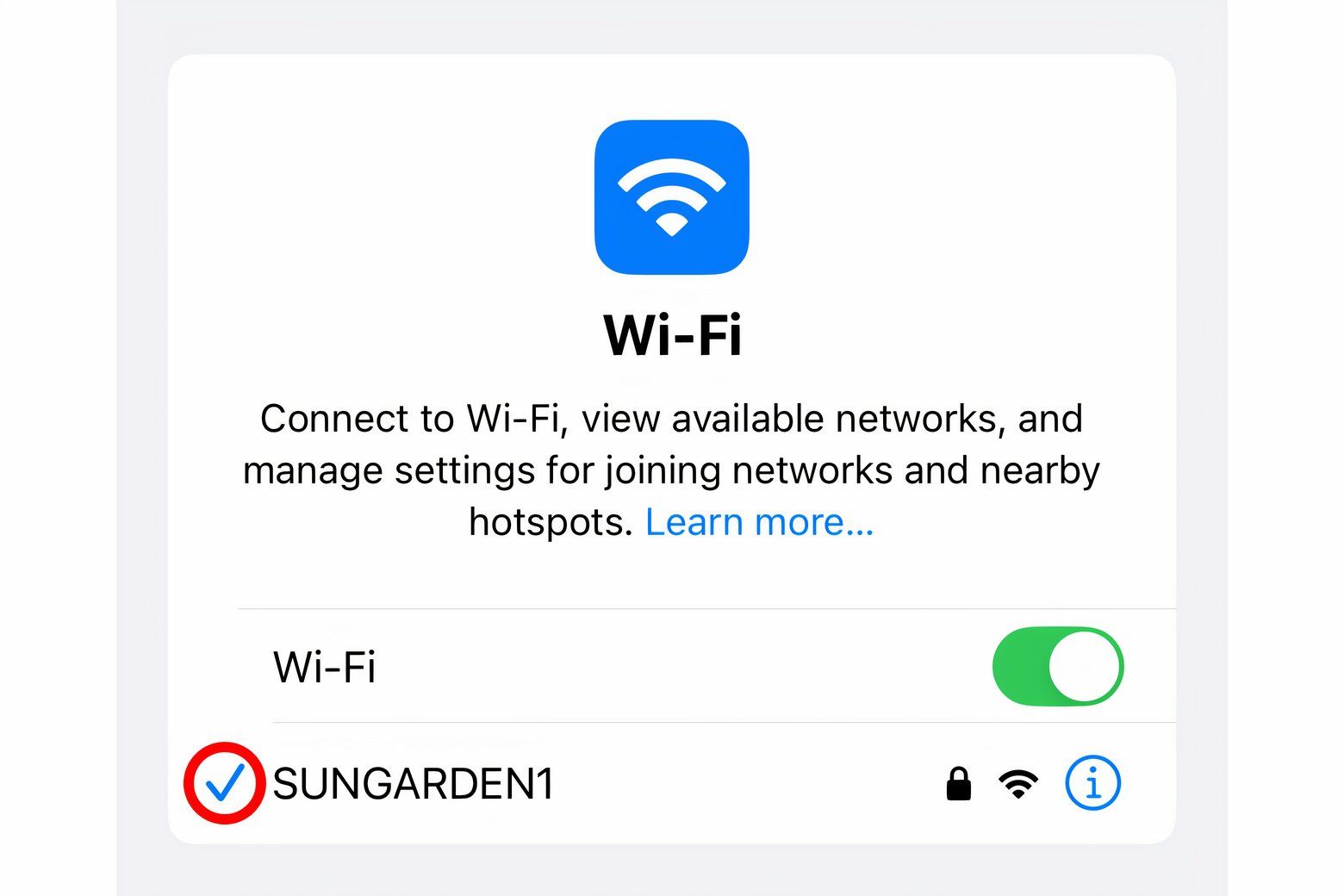 The iPhone's Settings app with the blue checkmark highlighted next to the connected Wi-Fi network.