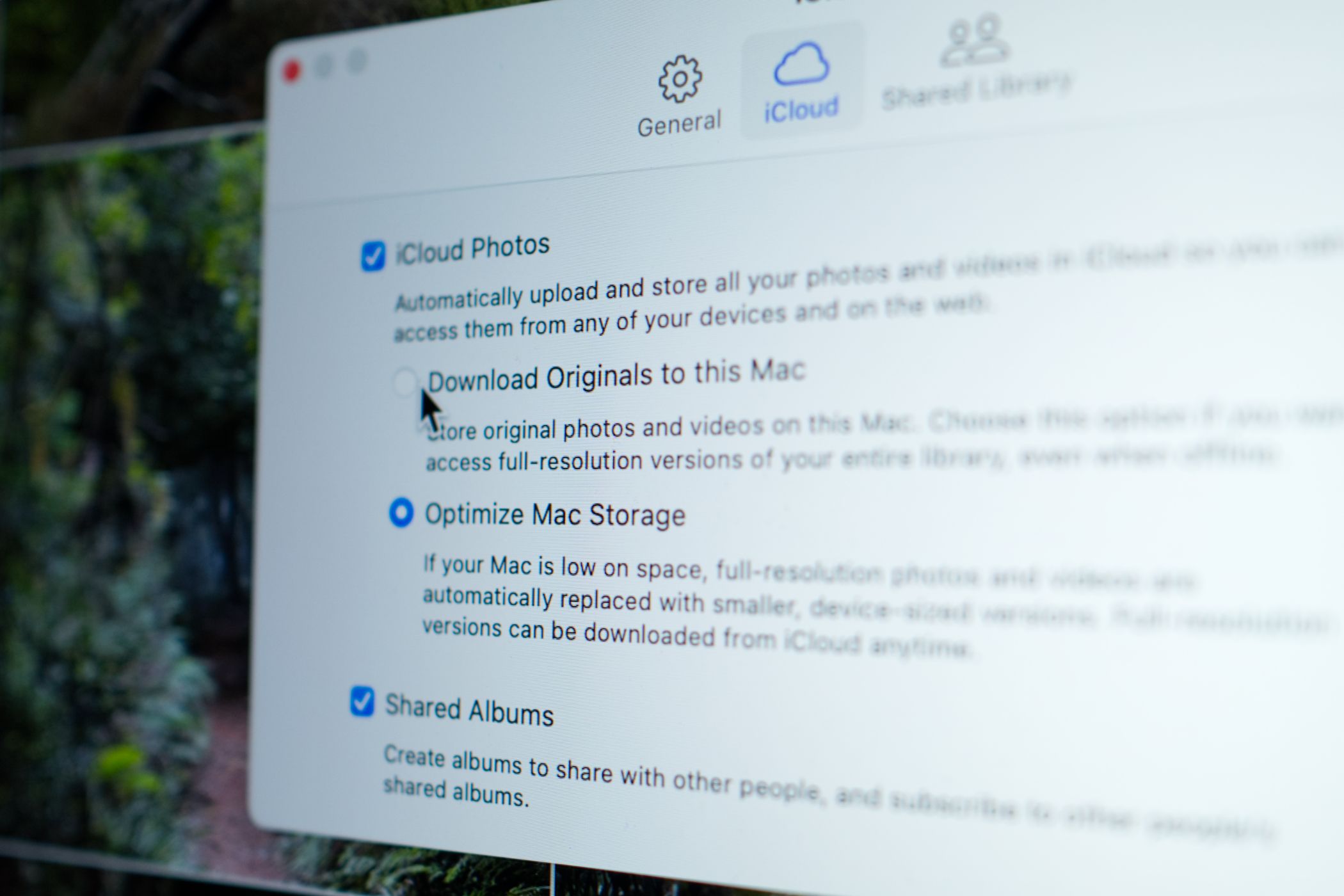 The option to download iCloud photos on a Mac.